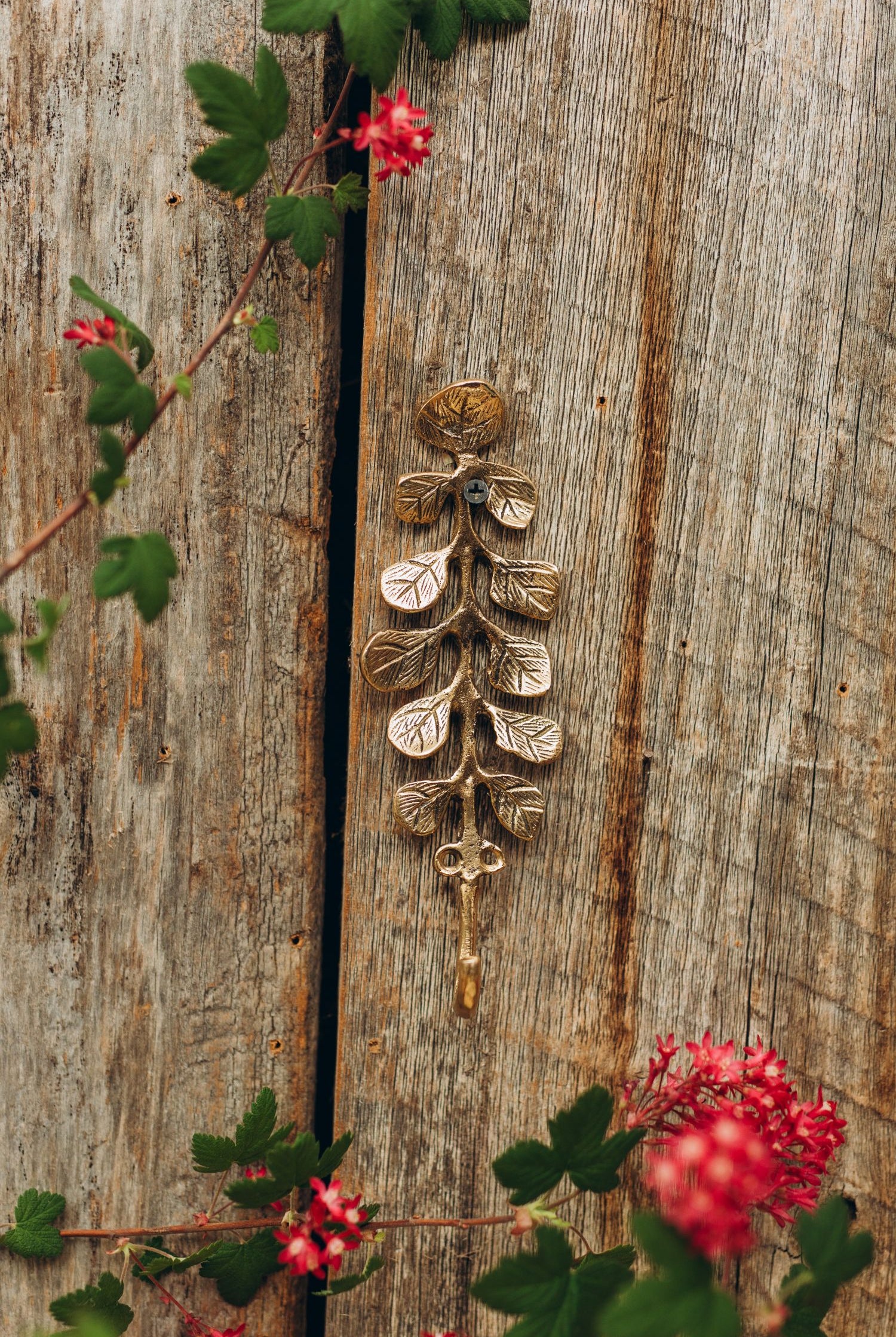 Brass Hook