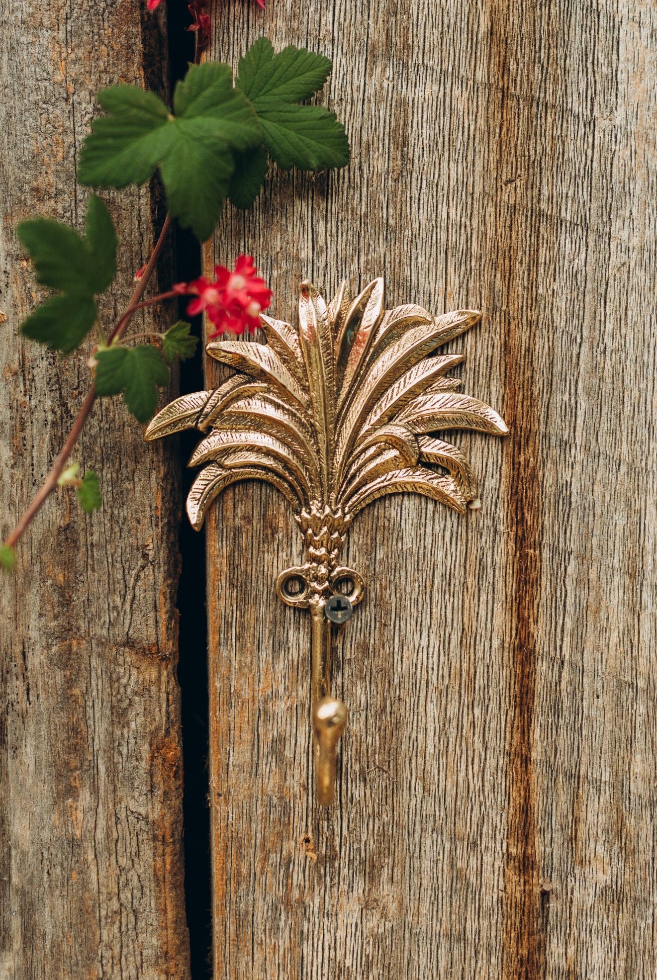 Palm Brass Hook