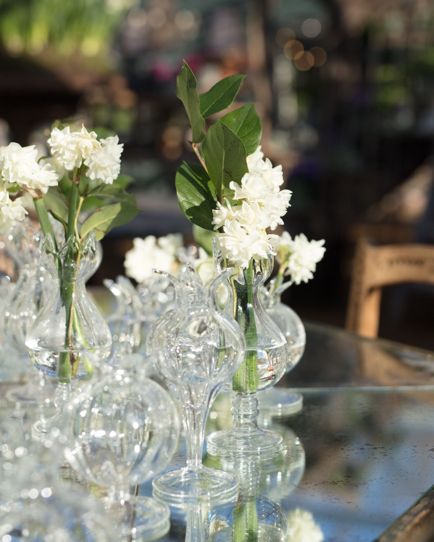 All Products Petersham Nurseries