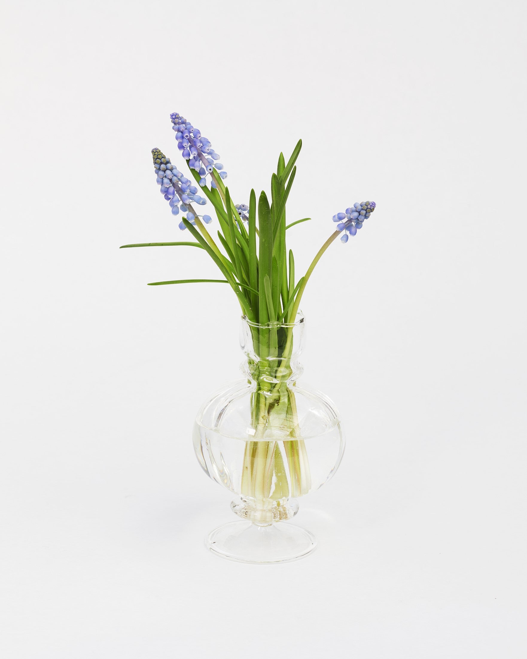 Vases Petersham Nurseries