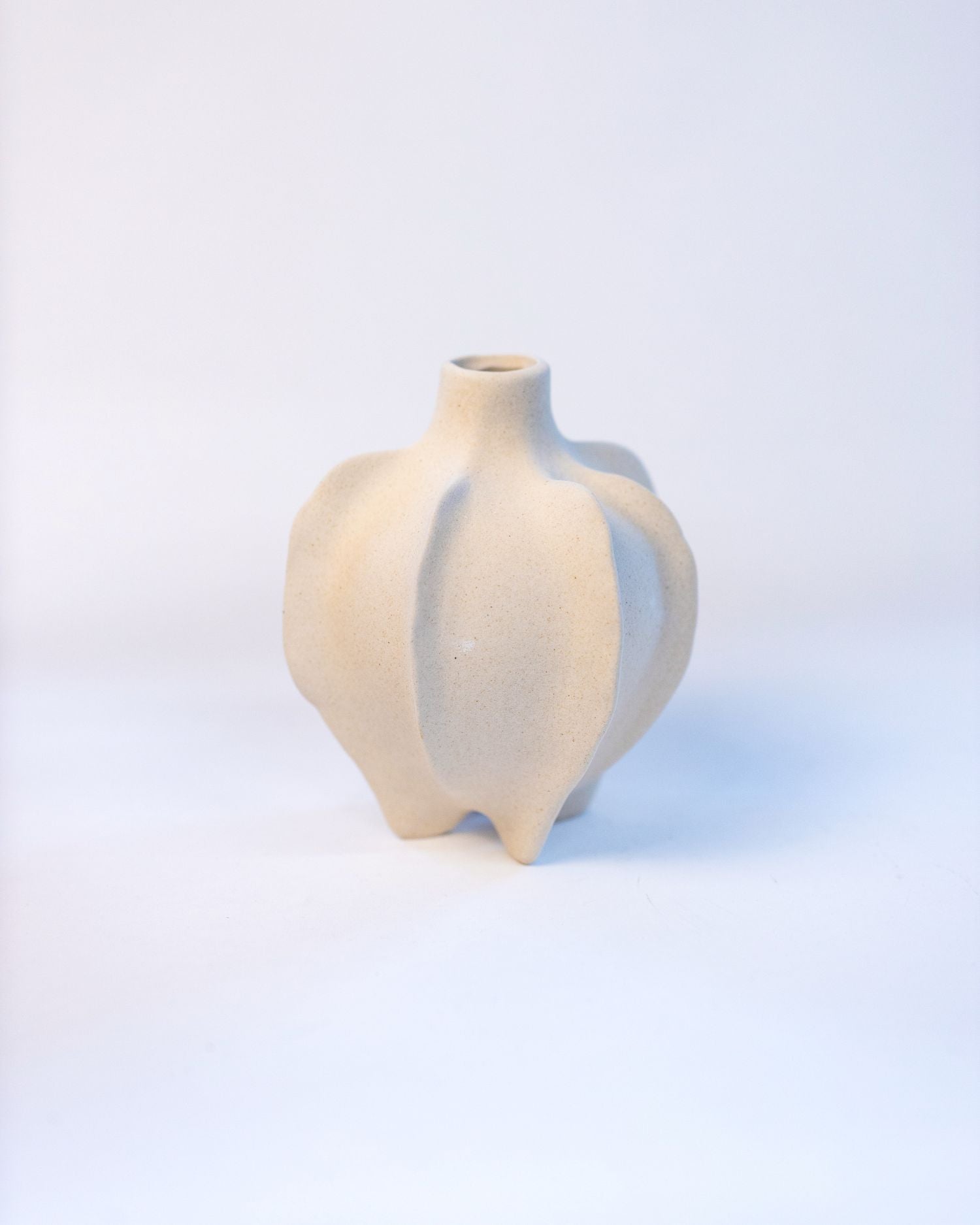 White ceramic vase with on a light background